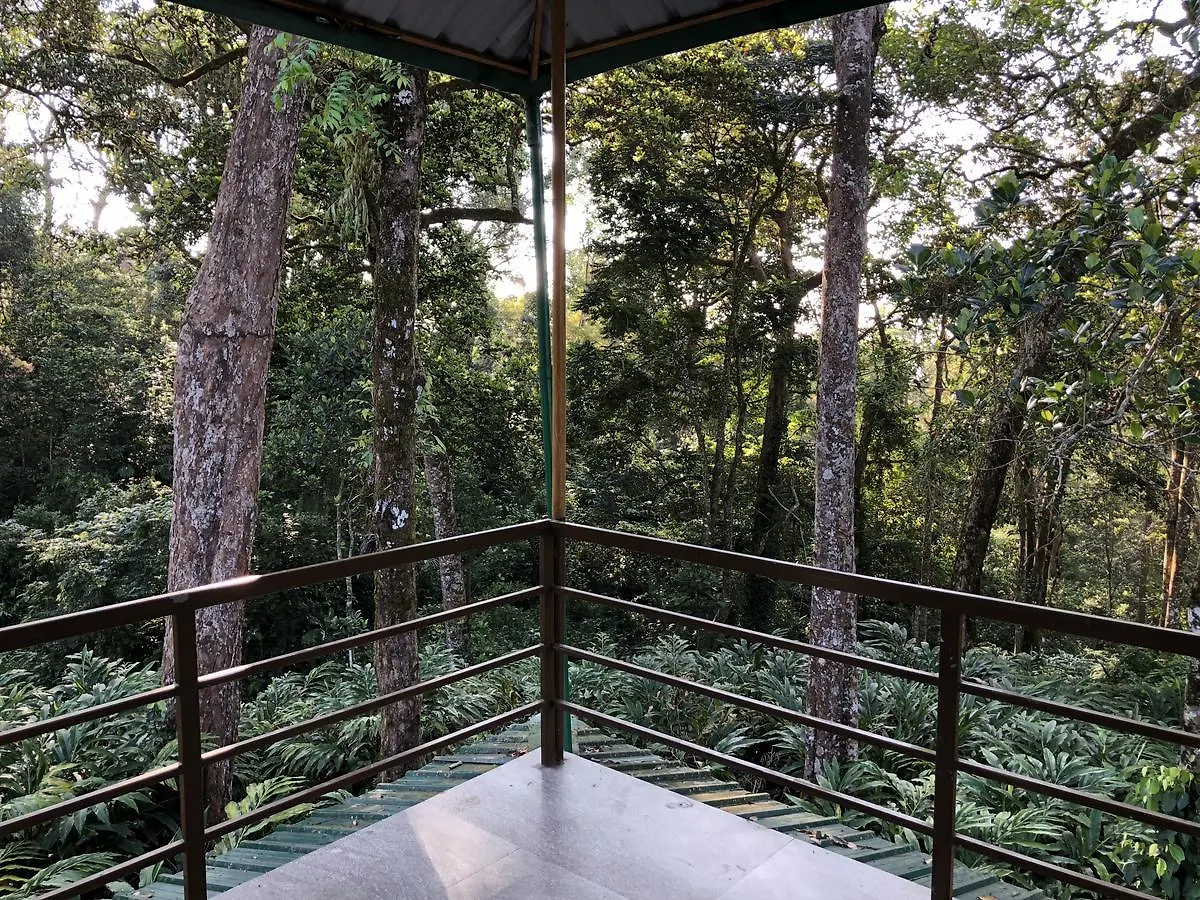 Green Shades Munnar