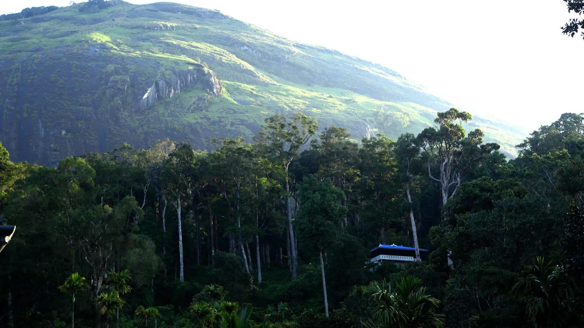 Séjour chez l'habitant Green Shades Munnar